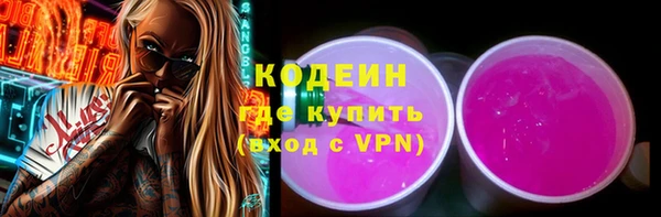 не бодяженный Заводоуковск