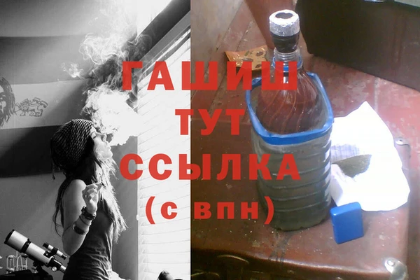 2c-b Ельня