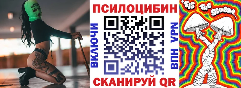 закладка  Называевск  Псилоцибиновые грибы ЛСД 
